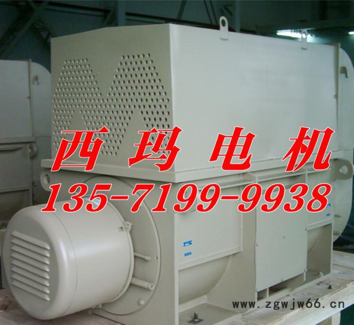 泰富西玛电机YR系列YR4501-8 315KW 6KV三相异步高压电动机图1