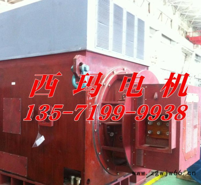 泰富西玛电机YR系列YR4501-8 315KW 6KV三相异步高压电动机图3