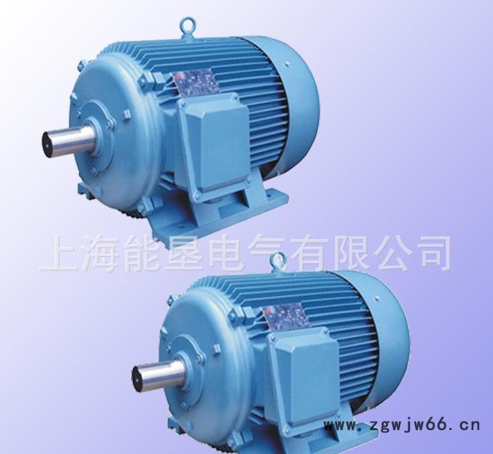 供应上海能垦YD160L-8/6 6/8KW变极多速三相异步电动机图2