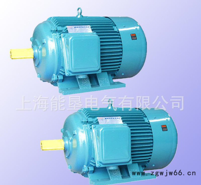 供应上海能垦YD160L-8/6 6/8KW变极多速三相异步电动机图3