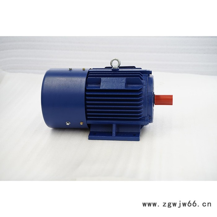金力特轴流电机 电机厂家 电动机 风机专用电机 变频电机 高性价比电机图8