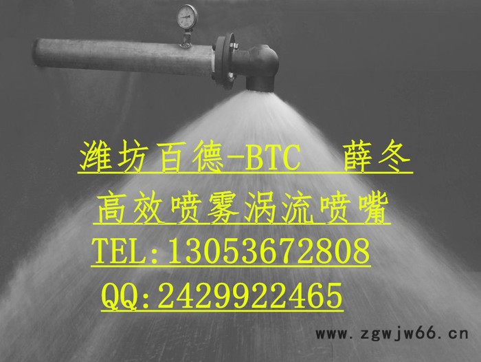 山东潍坊百德BTC1.5寸**碳化硅一寸半Dn40碳化硅涡流空心锥喷嘴，吸收塔喷嘴**，质量保证图4