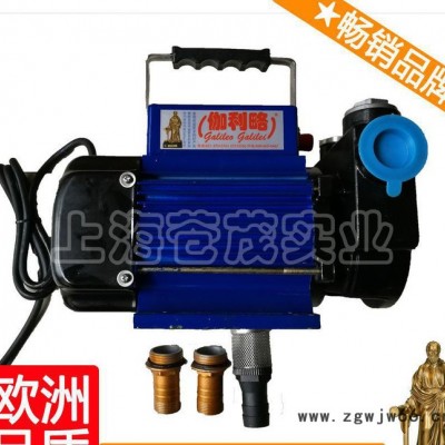 24v电动机油泵 24v吸油泵 学校柴油泵 简单