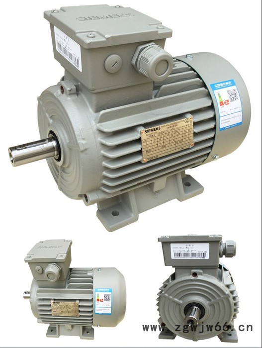 西门子贝得电机1TL0001贝德三相电动机马达卧式立式4极原厂Y2 BM图6