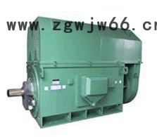 西玛销售YR系列YR4501-10 220KW 6KV绕线转子高压三相异步电动机图3