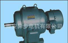 西玛电机JR系列116-4 155kw/380v三相异步电动机图2