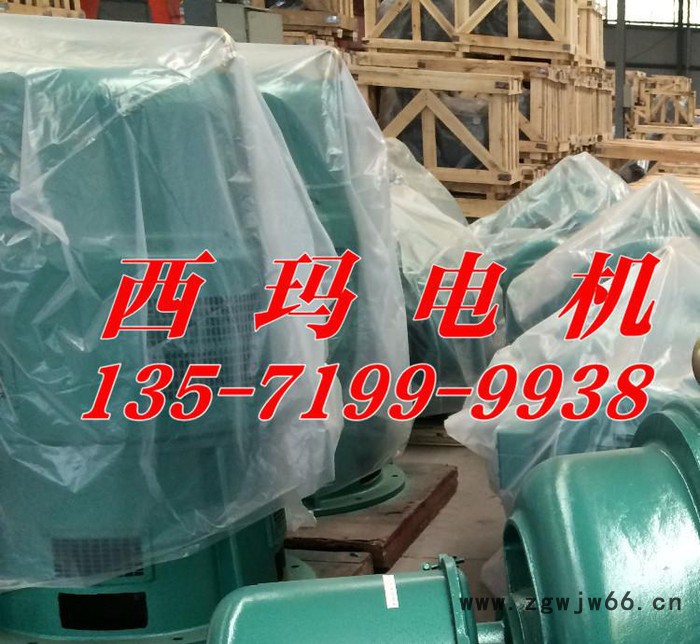 直销西玛电机JS系列JS1512-12 560KW三相异步电动机图3