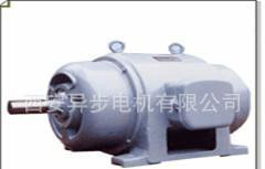 直销西玛电机JS系列JS117-10 65KW 380V三相异步电动机图2