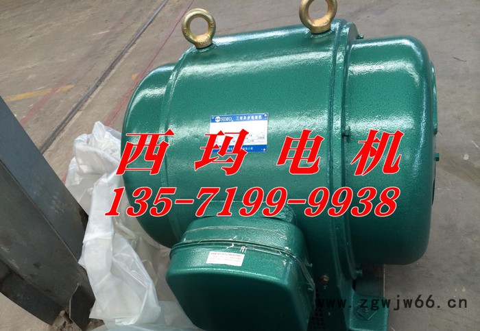 直销西玛电机JS系列JS115-10 45KW 380V三相异步电动机图2