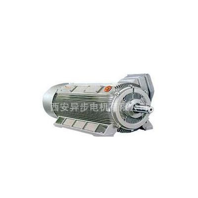 西安西玛电机Y2-5602-4 1400KW 6KV高压三相异步电动机