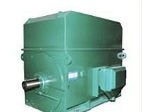 西安电机厂YKK4003-2 355KW/6KV 西玛牌三相异步电动机图2