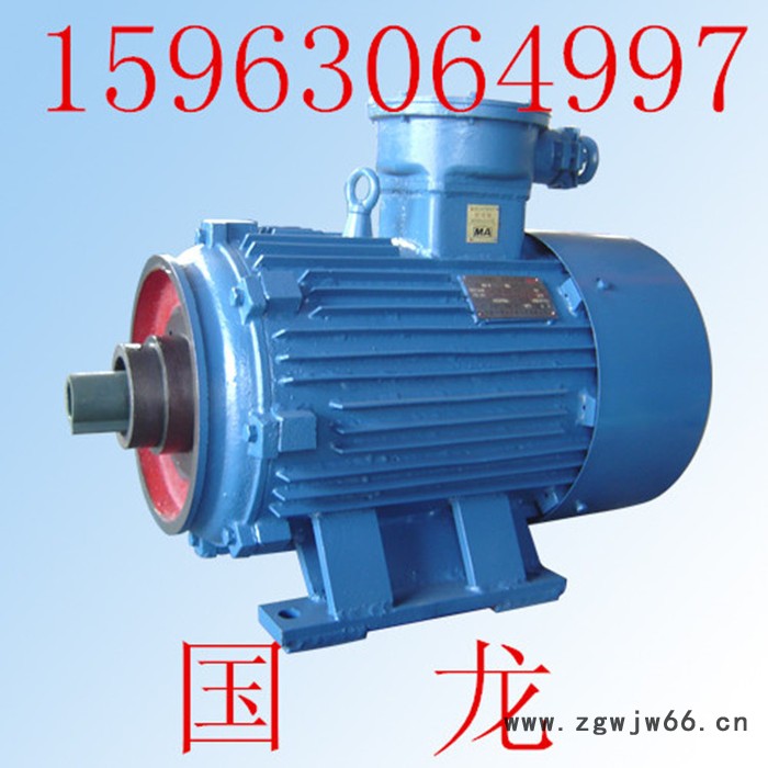 隔爆电动机DSB40-4 电动机  根据使用场合找型号图5