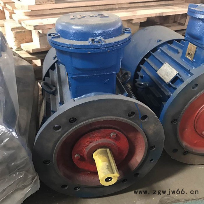 隔爆电动机DSB40-4 电动机  根据使用场合找型号图7