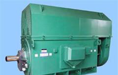 郴州西玛电机YKS4504-10 200KW 6KV 590R高压电动机图2