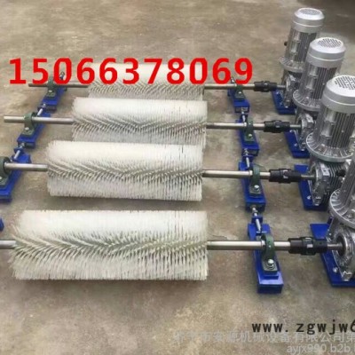 工厂直销电动毛刷清扫器 电动机毛刷辊 被动滚刷清扫器