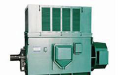 西玛电机YR6304-10 1250KW 6KV 590R高压电动机图2