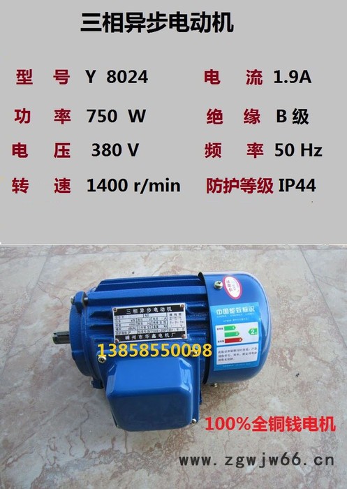 红发Y8024 三相异步电动机750W电机纺织机械全铜线380V电机图2