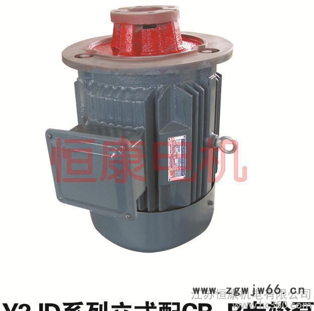 **推荐三相异步电动机 Y2JD系列立式配CB-B齿轮泵图2