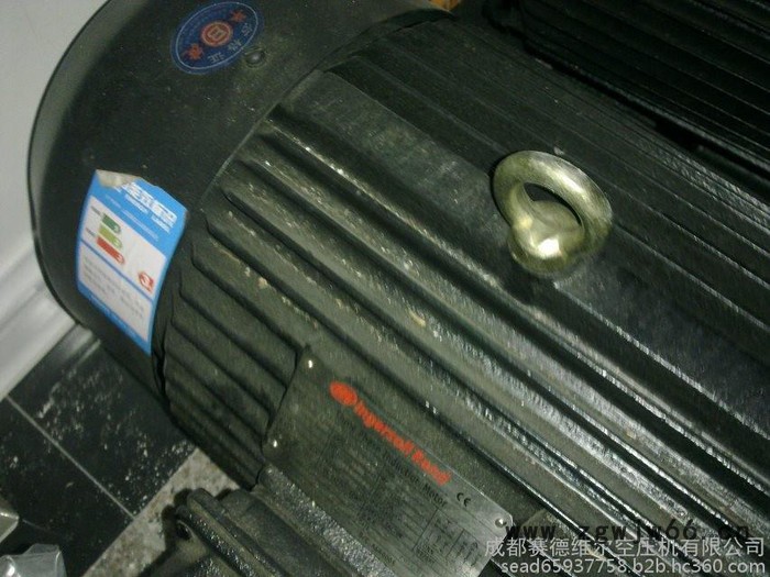 英格索兰电动机图3