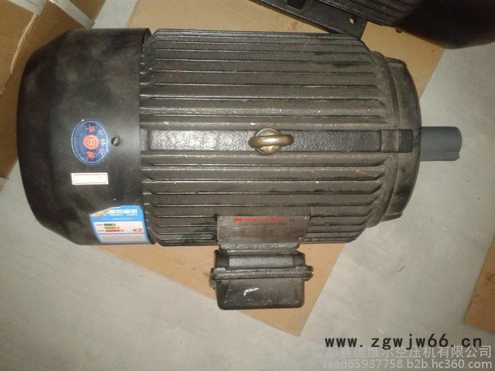 英格索兰电动机图4