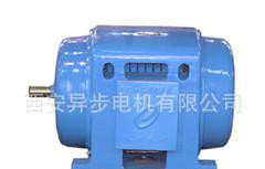 JS116-6  95KW/380V西玛电机厂.三相异步电动机图2