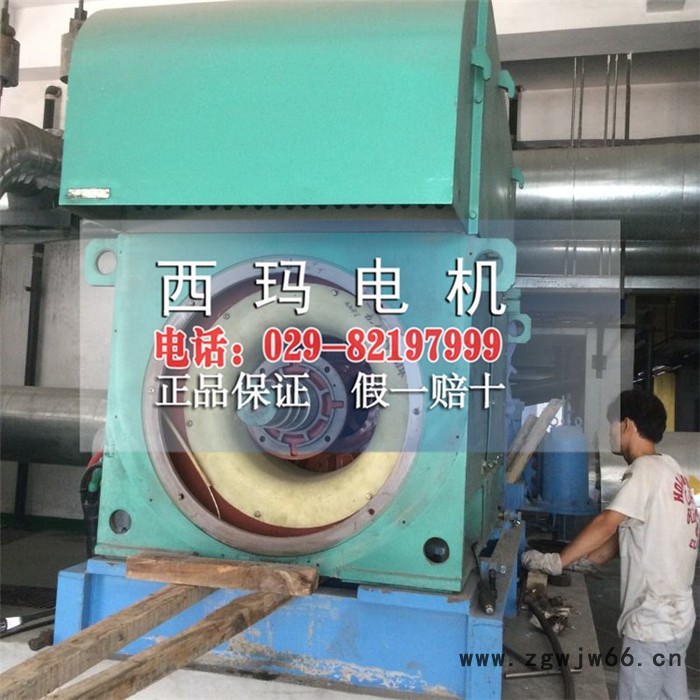 西玛电机YKK3551-2  220KW/6KV  10KV三相异步电动机图4