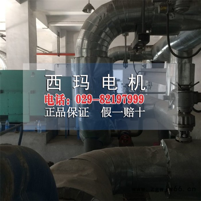 西玛电机YKK3551-2  220KW/6KV  10KV三相异步电动机图2