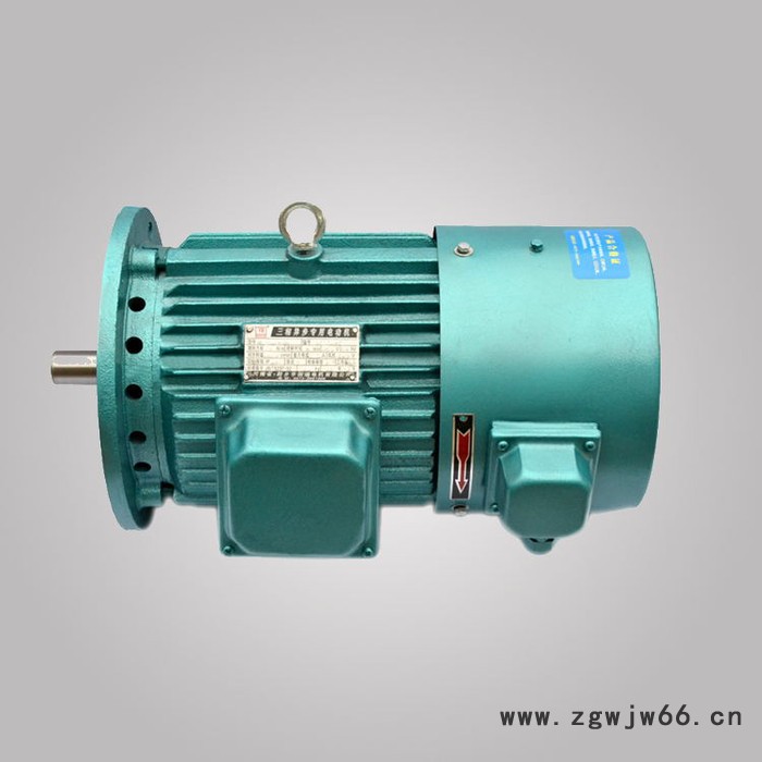 千业牌 力矩三相异步电动机型号（TYPE）YLJ112-10N.M-4 质量可靠图4