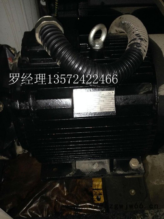 英格索兰电动机图2