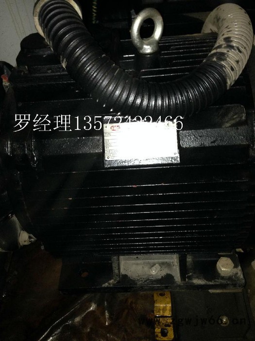 英格索兰电动机图3