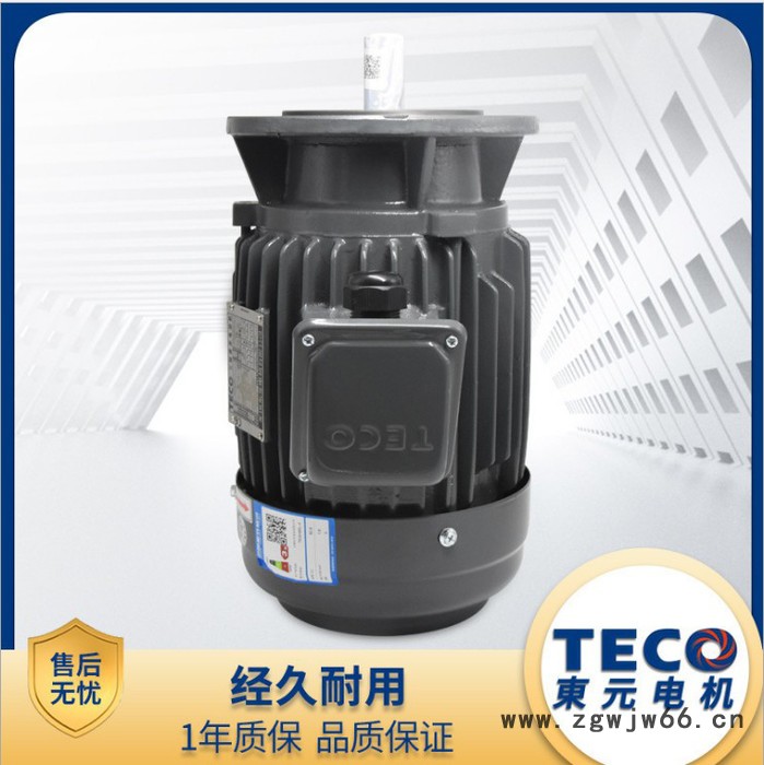 东元NEMA电机 三相异步电机 三相异步电动机厂家价格图2