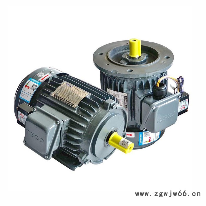 东元NEMA电机 三相异步电机 三相异步电动机厂家价格图4
