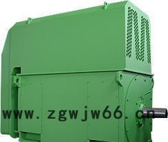 空水冷却西玛电机YKS4507-8 355KW 6KV 740R三相异步电动机图3