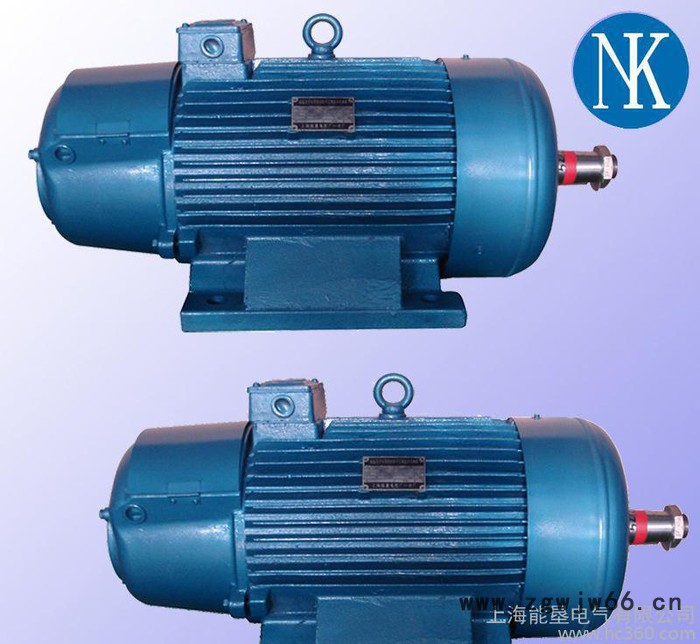 JZR2-21-6 4.2KW/380V绕线型起重冶金电机 起重电机 上海能垦起重电动机图3