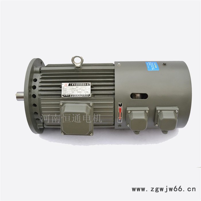千业牌 三相异步专用电动机 locked-rotor torque motor MHE-4电机图7