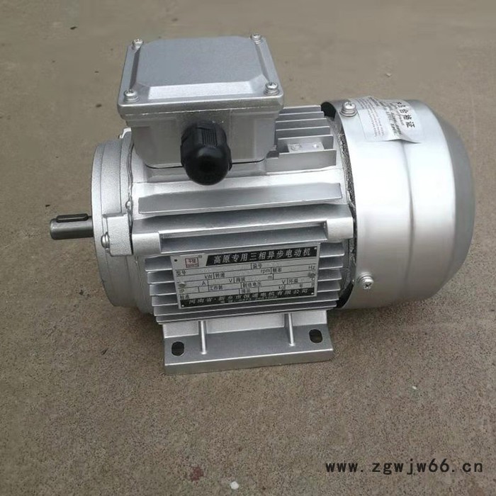 千业牌 高原电机 海拔3000米电机 千米以上用电机河南恒通电机制造高原电动机图6