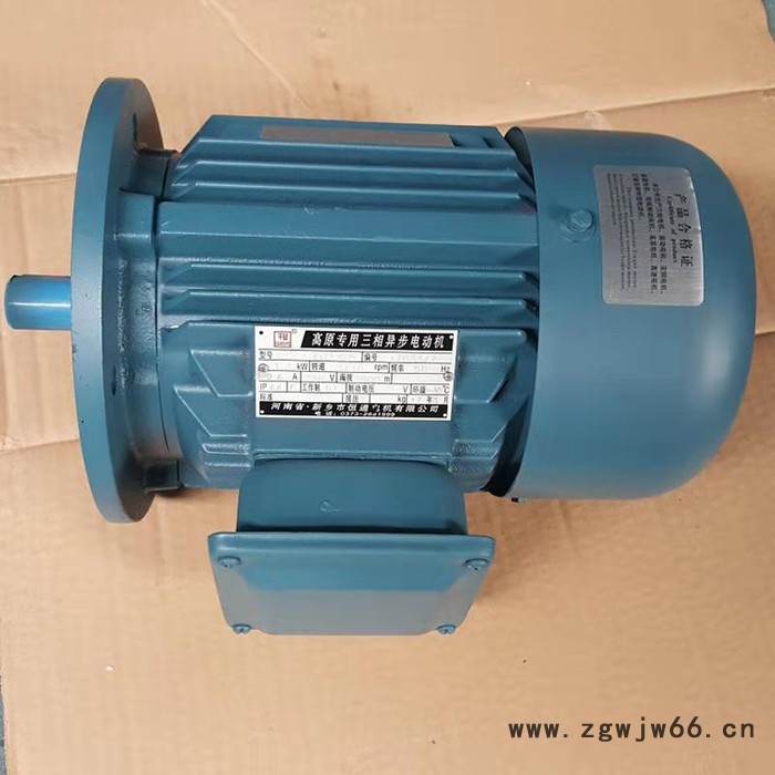 千业牌 高原电机 海拔3000米电机 千米以上用电机河南恒通电机制造高原电动机图4