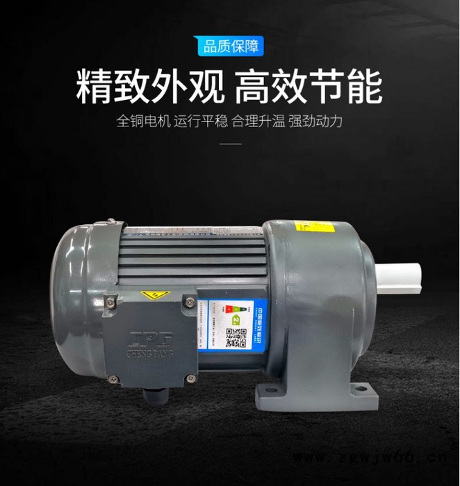 晟邦齿轮减速机三相异步电动机厂家 食品输送设备用电机马达图3