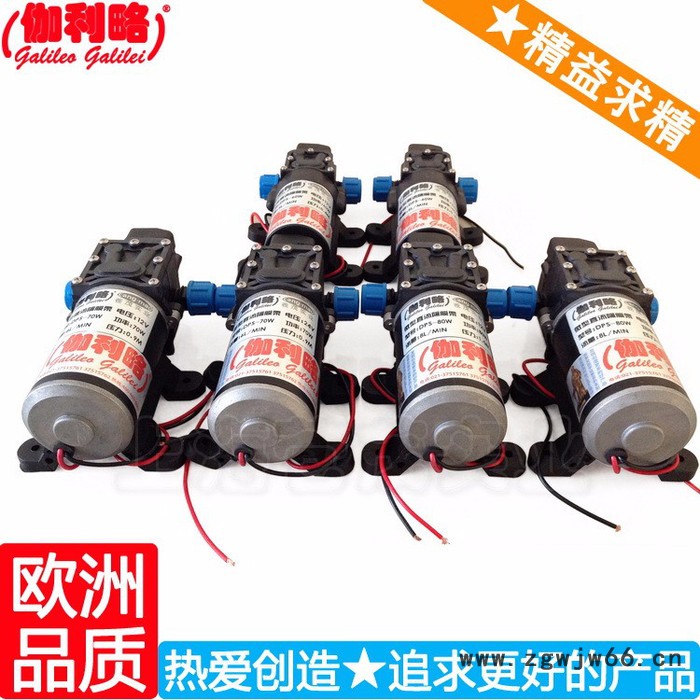 微型高压泵 单相清洗机泵专用电动机 1l高压水泵 隋