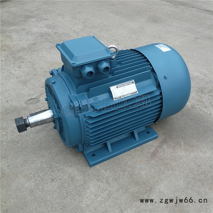 千业牌 磨床专用高效三相异步电动机 YE2-M-180L-4,22KW 机床专用电机 质量稳定图6
