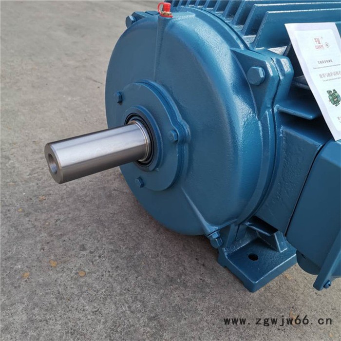 千业牌 磨床专用高效三相异步电动机 YE2-M-180L-4,22KW 机床专用电机 质量稳定图3