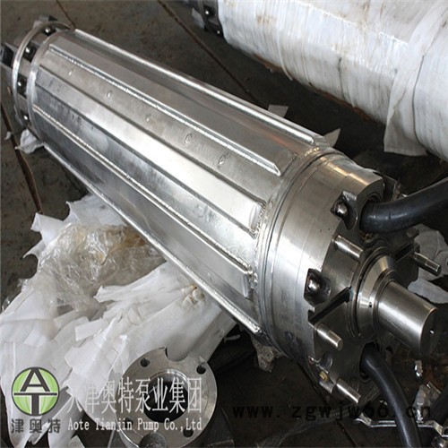 316_316L不锈钢潜水电机,排污用三相异步电动机图4