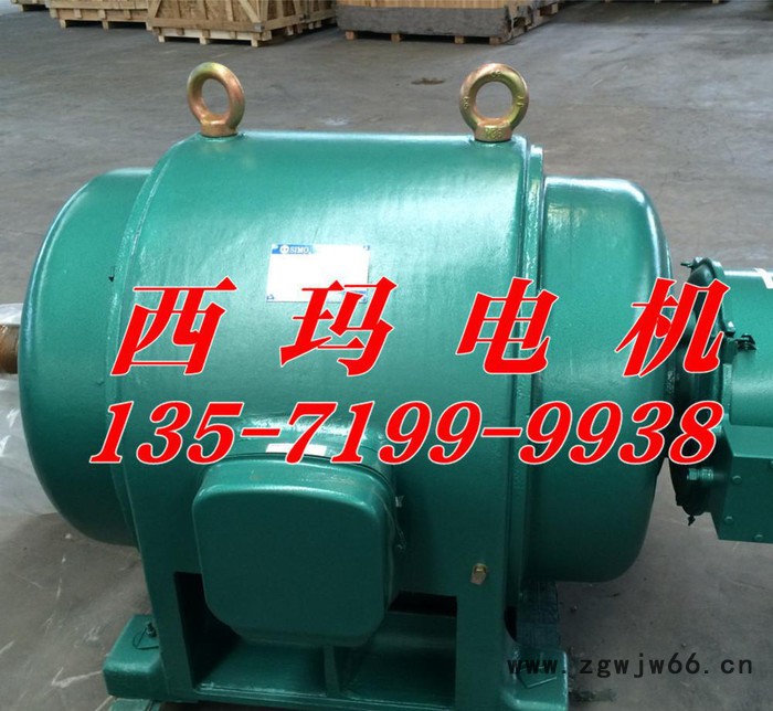 **西安西玛电机厂JS137-6A 320KW/380V三相异步电动机图3
