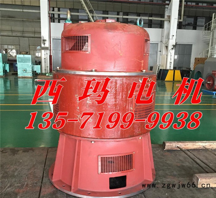 **西安西玛电机厂JS137-6A 320KW/380V三相异步电动机图2