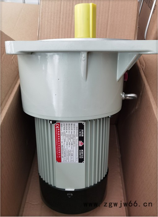 工厂直销台湾利明牌立式减速电机三相异步电动机SV10B-50-02图6