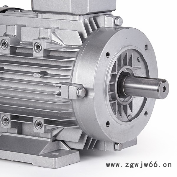 杰工百佳 30KW2级三相电机  200L1-2 河南三相异步电动机厂家图3