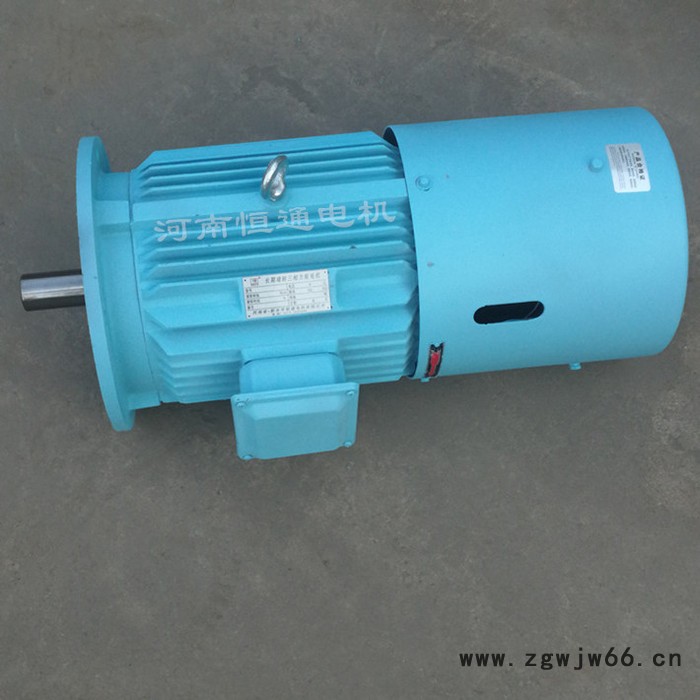 千业 3-PHASE AC MOTOR 三相交流电动机 YLEJ132-6电机 质量稳定图6
