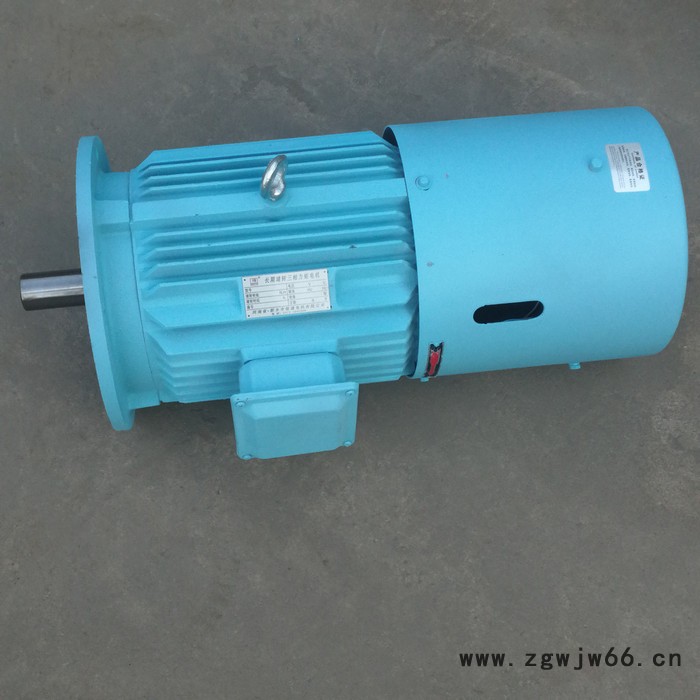 千业 3-PHASE AC MOTOR 三相交流电动机 YLEJ132-6电机 质量稳定图7