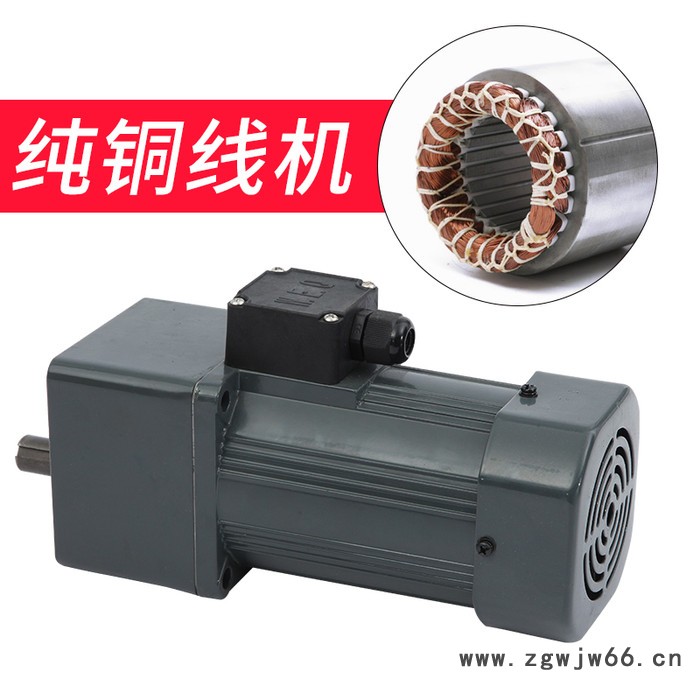 大功率电动机调速电机图3