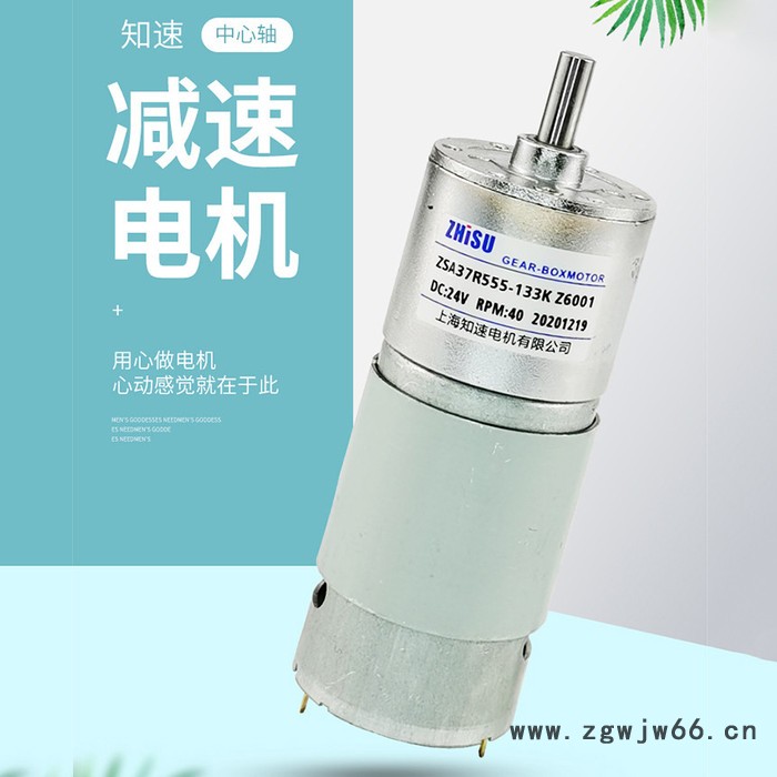 知速ZSA37R555  减速电机微型  马达减速电机  直流电机 直流减速电机  直流电动机  微型直流减速电机图2